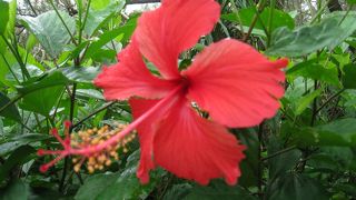 ダイビングの基地的なところ？