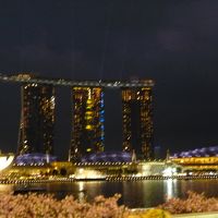 夜の光がとってもキレイ！