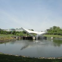 ホテルに隣接する池