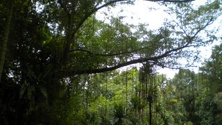 市民の散歩スポット