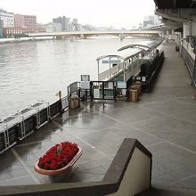 隅田川沿いの全景です