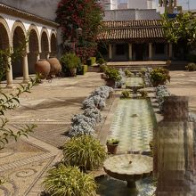 このパティオが１番きれいでした。