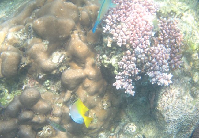 天気が悪かったせいか・・