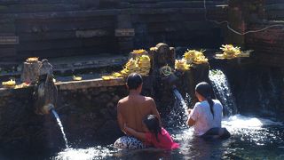 ウブド近郊では必見の観光スポット、聖なる水が沸くティルタ・ウンプル