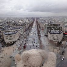 放射線状に延びる街路