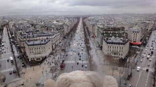 パリの放射線状に延びる街路が望めます