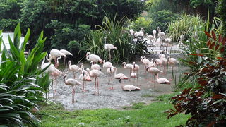 都心のオアシス