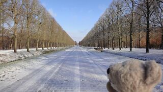 広大な敷地です・・・プチ・トリアノンまでは遠いですよ！