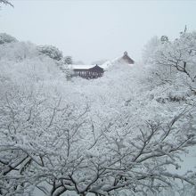 通天橋の雪景色