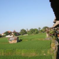 部屋からの眺め