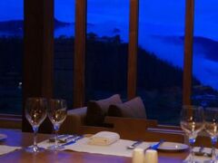 アマンコラ ガンテ 写真