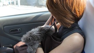 移動手段はこれしか使いません！