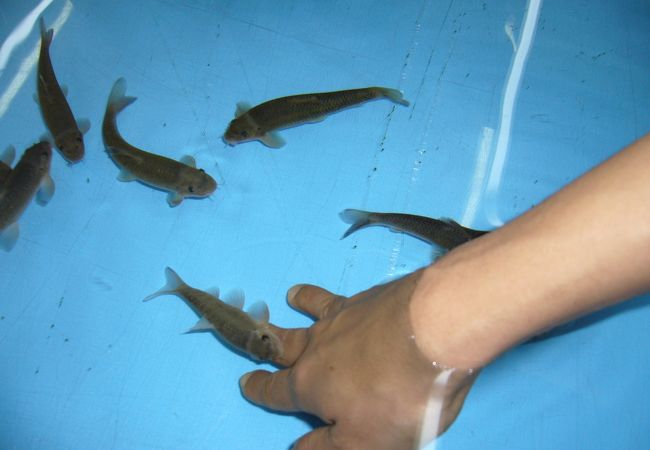 草津熱帯圏 クチコミ アクセス 営業時間 草津温泉 フォートラベル 草津熱帯圏 クチコミ アクセス 営業時間 草津温泉 フォートラベル