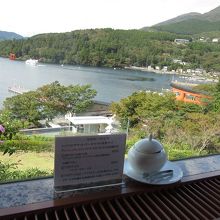 眼下の芦ノ湖の風景