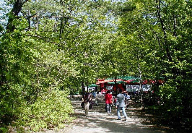 ソラクサン 雪岳山 国立公園 クチコミ アクセス 営業時間 束草 フォートラベル