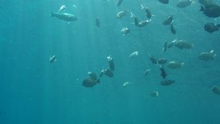 青の洞窟に行ってきました！！