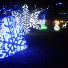 平和大通りの照明