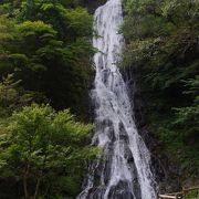 埼玉唯一の日本の滝百選の滝