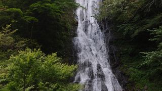 埼玉唯一の日本の滝百選の滝
