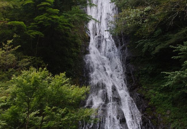 埼玉唯一の日本の滝百選の滝