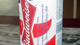 絶賛するほどではないが、おいしい小龍包