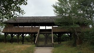 時間があれば、お城周辺の森林公園もおすすめ！