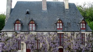 各部屋に飾られた生け花がどれも素敵！