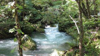 奥入瀬渓流を歩いてみる
