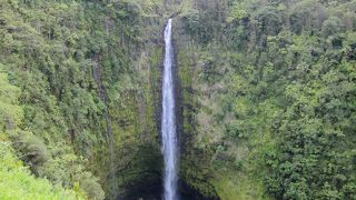 ヒロの癒しポイント