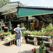 温室のようなシテ島の花市