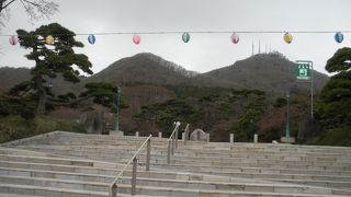 ひそかに桜の名所らしい。私の時は見れなかったけど