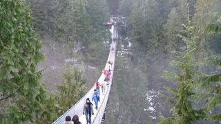 自然の中でスリルが楽しめます