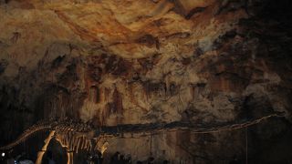 世界遺産ではないポストイナ鍾乳洞