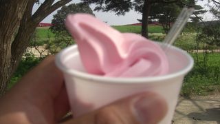 おいしいものもいっぱい