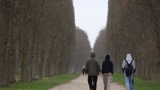 人口密度の高い宮殿内だけでなく、庭園の散歩を楽しむのがオススメ。