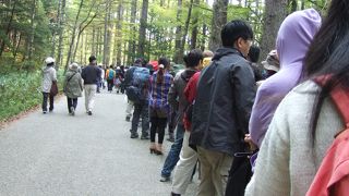 梓川沿いの遊歩道！