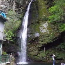 美しい琵琶の滝です。