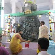 牛の神を祀るヒンドゥー教寺院 （Bull Temple）