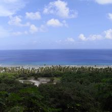 高台からの眺め