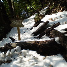 野趣溢れる登山が楽しめます
