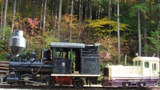 トロッコでの観光！