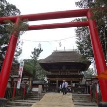 赤い鳥居の奥に威厳のある建物。