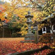 大原野の古刹で紅葉狩