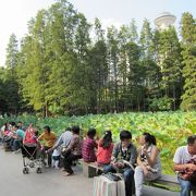 美術館や遊園地もある市民憩いの場～人民公園