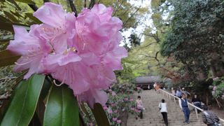 室生寺境内の金堂も凄い！