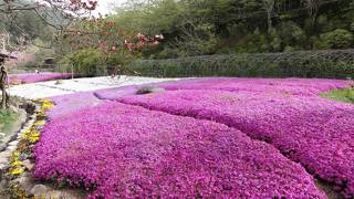 花木の数１００万本！