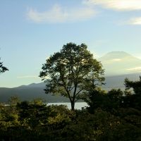 部屋から山名湖と富士山が見えます