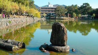 なんてことのない池だけど、落ち着きます。