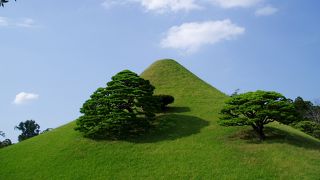 澄んだ水が綺麗