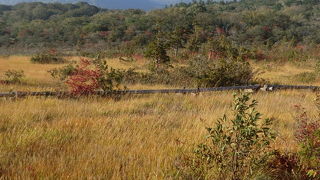 栗駒山を望む、静寂な湿原♪